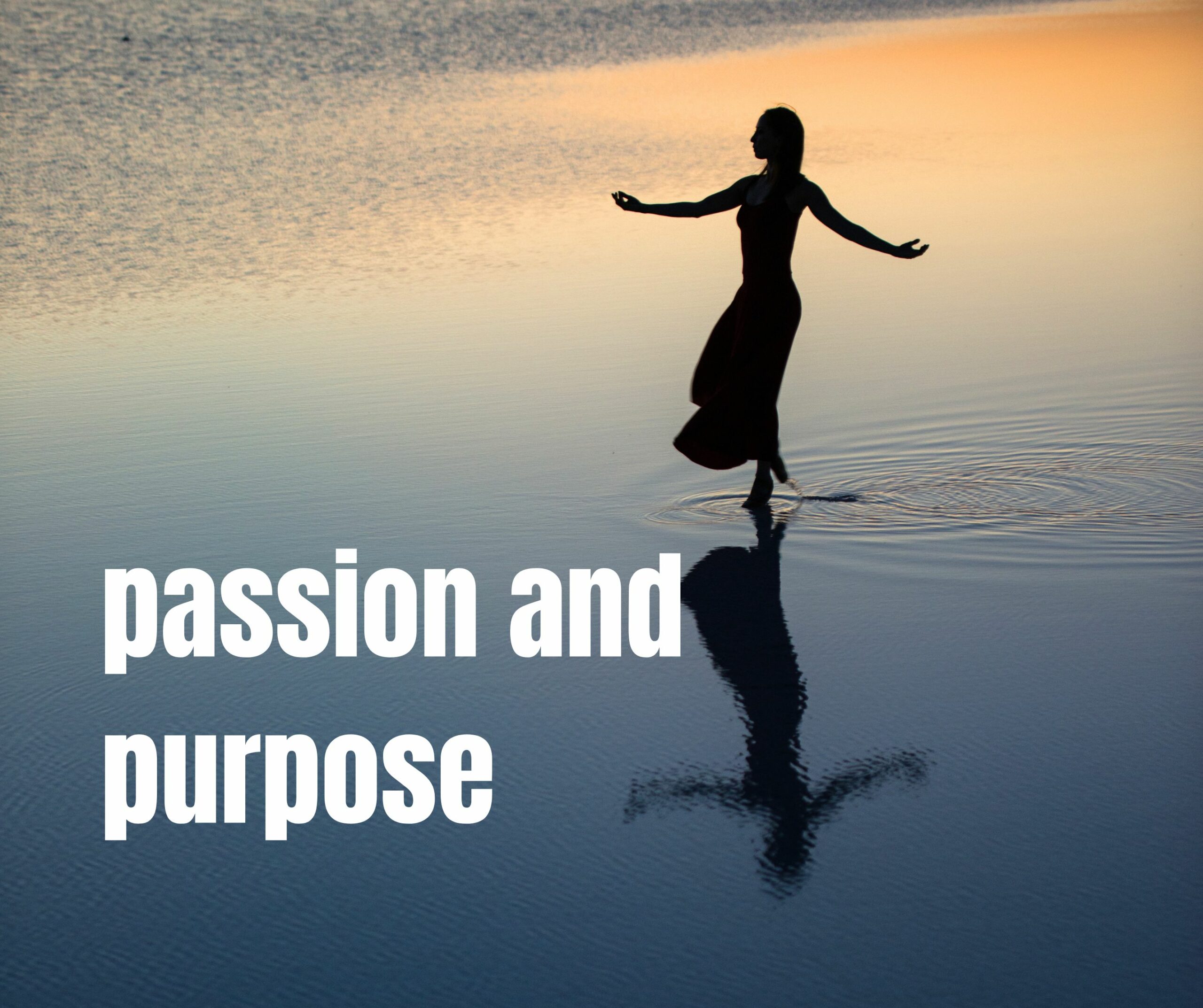 You are currently viewing Passion and Purpose